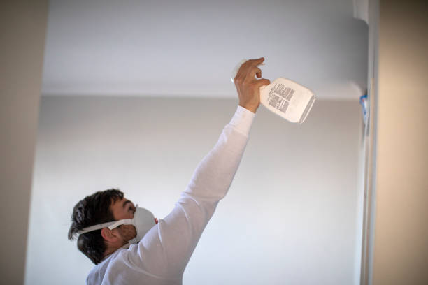 Best Mold Removal Near Me  in Olton, TX