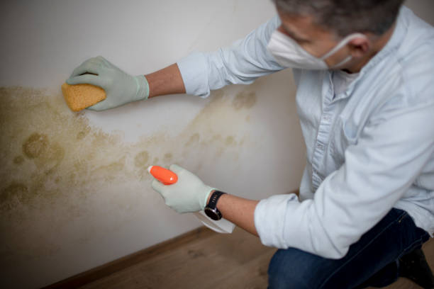 Water Damage Restoration in Olton, TX