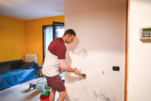 Best Mold Testing  in Olton, TX